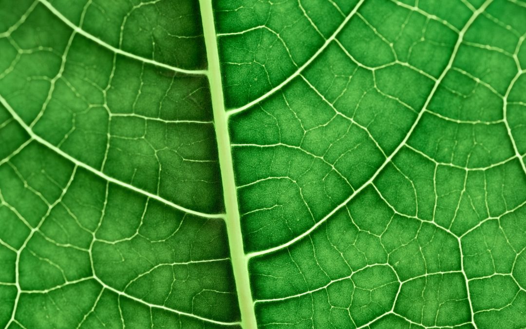 Biochar enables more environmentally friendly steelmaking